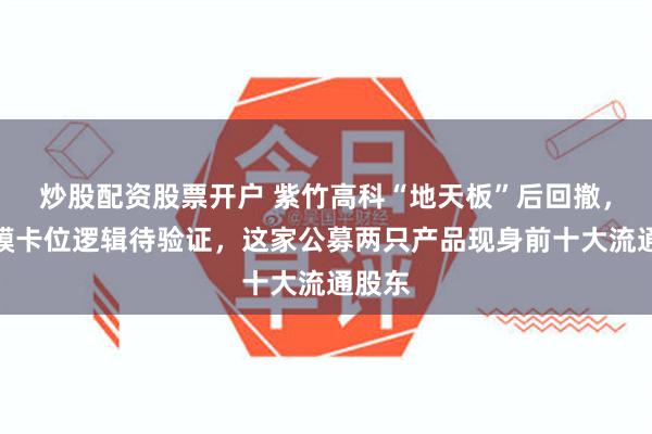 炒股配资股票开户 紫竹高科“地天板”后回撤，铝塑膜卡位逻辑待验证，这家公募两只产品现身前十大流通股东