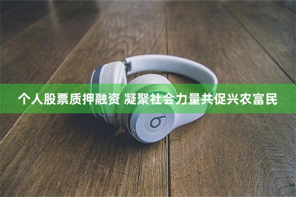 个人股票质押融资 凝聚社会力量共促兴农富民