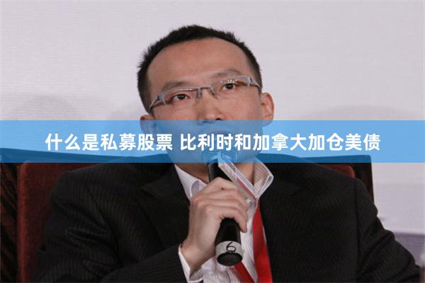 什么是私募股票 比利时和加拿大加仓美债